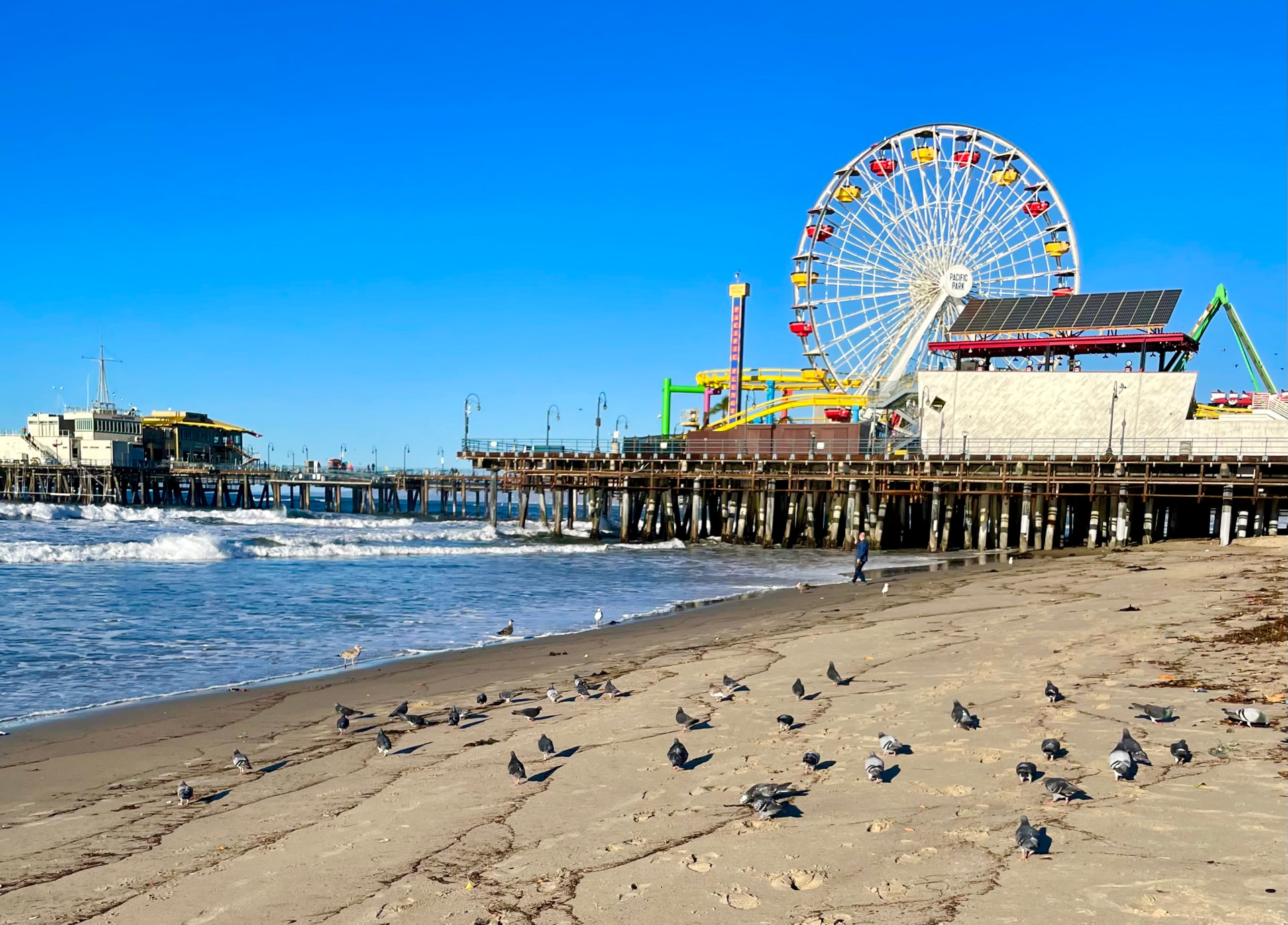 Santa Monica Pier ferris wheel rising above the beach and Pacific Ocean on a clear blue day.